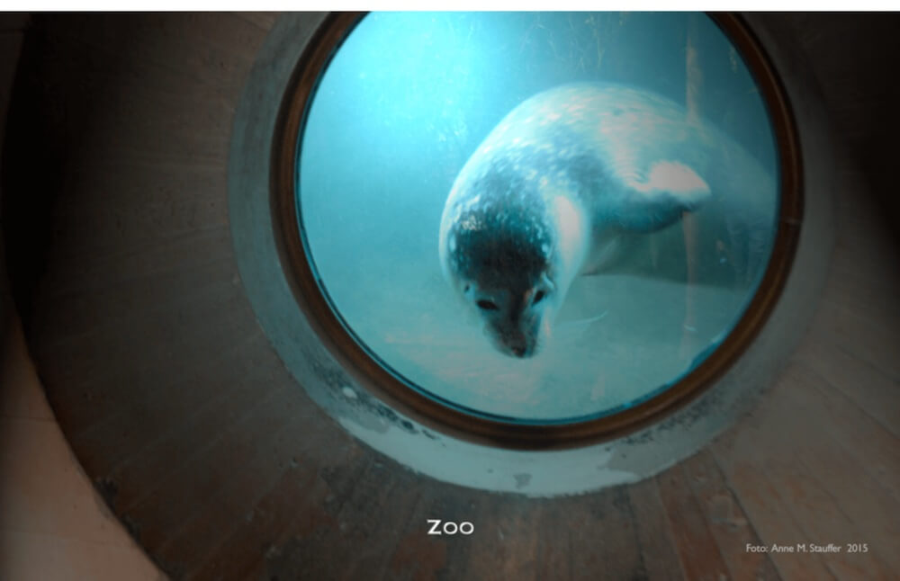 NIMO Zoo Zuerich